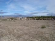 SUELO RUSTICO A 100M DE LA CARRETERA DE MOLINA A FORTUNA