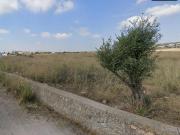 Suelo rustico en Castellon