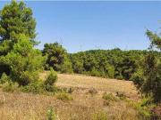 Suelo rústico en Dehesa de Mojón Blanco