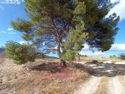 SUELO RÚSTICO EN PARAJE DE QUIBAS, ABANILLA