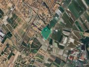 Suelo rústico en Paraje Lo Roquer