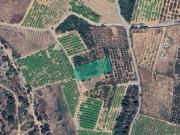 Suelo rústico en Partida Cárcel