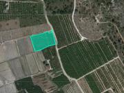 Suelo Rustico en Pt Arenals del Puig, Xátiva