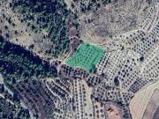 Suelo rústico en Ptda Viña Vieja