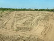 Suelo Rústico en Sueca