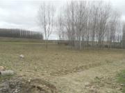 Suelo rústico en Valverde del Majano Segovia