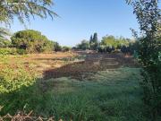 SUELO RÚSTICO EN VENTA