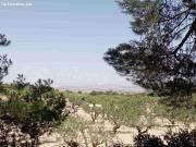 Suelo rústico en Venta en Jumilla Murcia