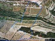 Suelo rústico en Venta en Vilalba Dels Arcs Tarragona