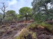 Suelo urbanizable residencial en Cerro Muriano Córdoba