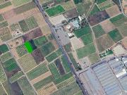 Suelo urbanizable sectorizado en PT Sector S 09 L´Alcudia