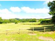 SUELO URBANO EN RIBAMONTANA DEL MAL