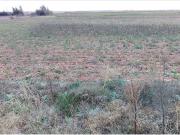 Suelo Urbano Industrial en Polígono INDUSTRIAL...