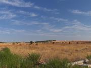 Suelos en Villanueva de la Torre Guadalajara