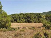 Suelo rústico en C/ Dehesa de Mojón Blanco Almansa Albacete