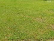 Suippes Vente Terrain 51