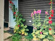 ~suite5mintosouthgate Mall Lrtto*ua Compus...