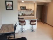 Suite Amoblada en Alquiler en Pacific...