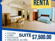 Suite Amueblada en Renta Anual | Remodelada y a Minutos... Suite Amueblada en Renta Anual | Remodelada y a Minutos...