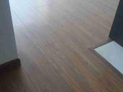 suite en renta/ venta