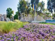 Summer Brook Apartments 1 Bedroom Apartment for Rent at...