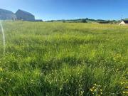 Summerhill, Donegal Town, Co. Donegal