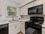 Summit on Central 1 Bedroom Apartment for Rent at 3143...
