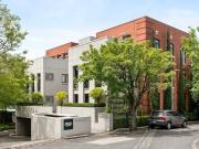 Sun Filled City Fringe Living