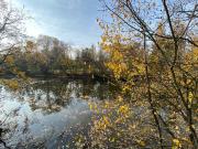 Sun Oasis with View over Vienna Skyline & Prater, 1 min...