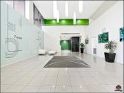 Sunny 1 Bedroom Apartment with New Carpet in Prime...