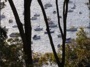 Sunny Lower Level Duplex Overlooking Pittwater