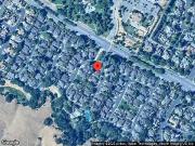 Sunshine, DANVILLE, CA 94506