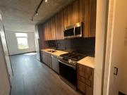 Super Cool West Loop 1 Bed 216 N Ashland Ave #1001