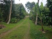 SUPER PRIME LOT 7,000 SQM FARM & REST HOUSE PROPERTY –...