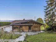 Superb two family villa with breathtaking lake views |...