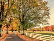 Superbe Domaine Equestre en Région Parisienne