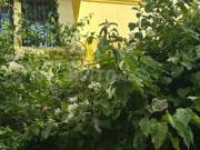 Superbe Maison 3 Étages & Toit Terrasse