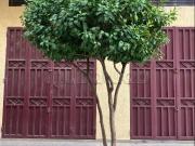 Superbe maison à vendre à Route se Sefrou. 4 belles...