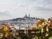 Superbe terrain à bâtir au cœur de Paris. Vues...