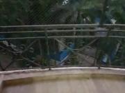 Supernal Gardens 1 Bedroom 500 Sq. Ft. Apartment in...