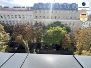 Superprojekt: Über den Baumwipfeln Top 43 Erstklassige 3...