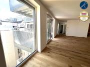 Superprojekt: 'Über den Baumwipfeln TOP 50 MIT...