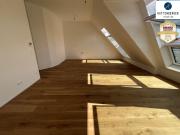 Superprojekt: 'Über den Baumwipfeln TOP 52 mit...