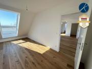 Superprojekt: 'Über den Baumwipfeln *TOP 53* 4,5...