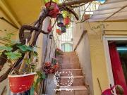 SUQUET 2 APPARTEMENTS GRAND TERRASSE PROCHE MER