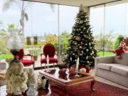 SURCO CASUARINAS SE VENDE COMO TERRENO OPORTUNIDAD IDEAL