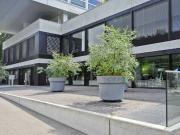 Surfaces commerciales à l'Avenue du Bouchet 2 12 |...