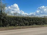 Surfleet Road, Pinchbeck, Plot For Sale