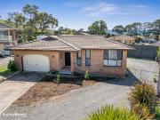 SURPRISE PACKAGE & SHEDS GALORE