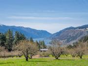 SW Cherry Blossom LN, White Salmon, US, WA